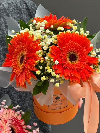 Композиция №122